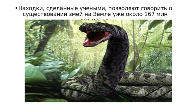 Находки, сделанные учеными, позволяют говорить о существовании змей на Земле уже около 167 млн лет назад. 