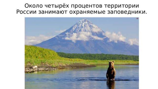 Около четырёх процентов территории России занимают охраняемые заповедники. 