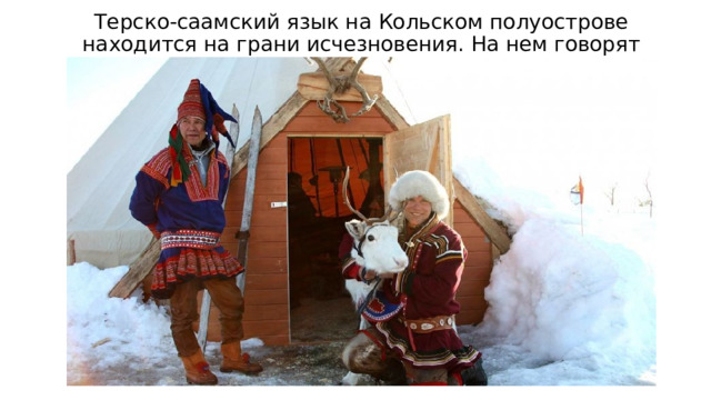 Терско-саамский язык на Кольском полуострове находится на грани исчезновения. На нем говорят всего два человека. 