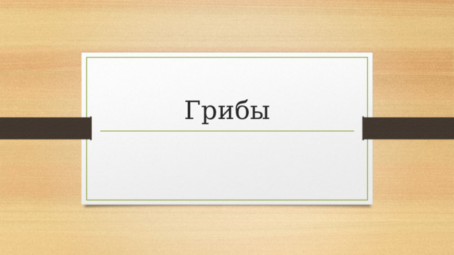 Грибы 