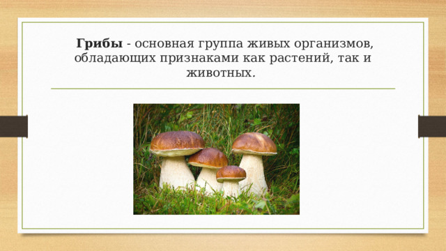   Грибы  - основная группа живых организмов, обладающих признаками как растений, так и животных .  