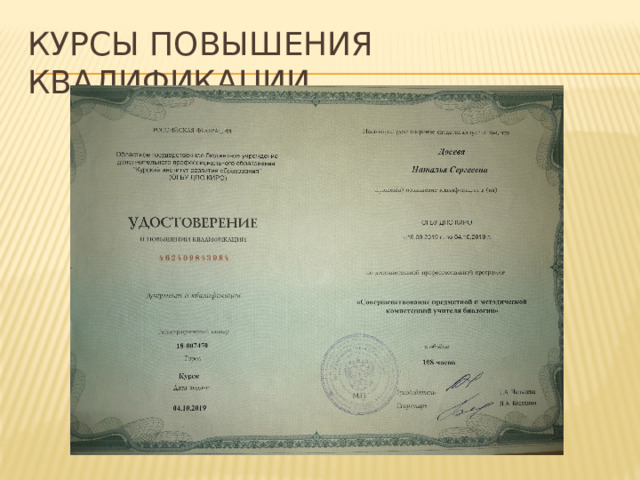 Курсы повышения квалификации 