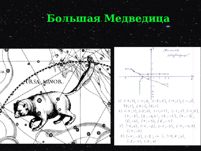Большая Медведица 