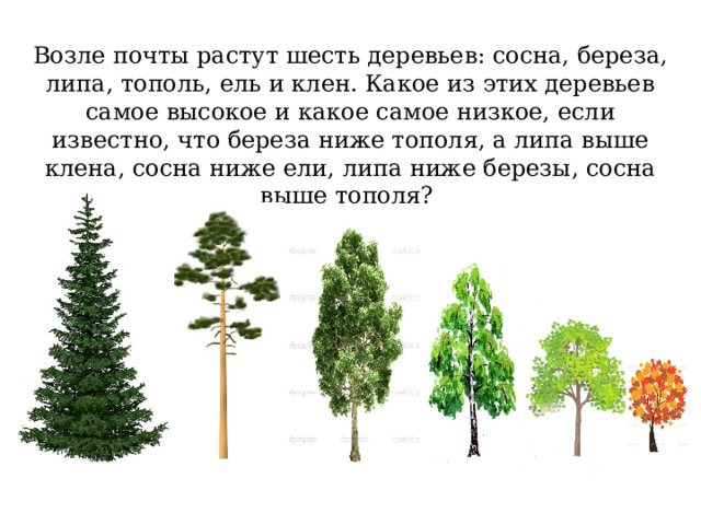 Возле почты растут шесть деревьев: сосна, береза, липа, тополь, ель и клен. Какое из этих деревьев самое высокое и какое самое низкое, если известно, что береза ниже тополя, а липа выше клена, сосна ниже ели, липа ниже березы, сосна выше тополя?  