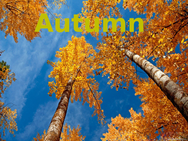   Autumn 