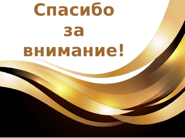 Спасибо  за внимание! 13 