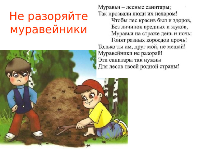 Не разоряйте муравейники 