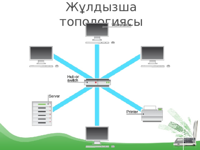 Жұлдызша топологиясы 
