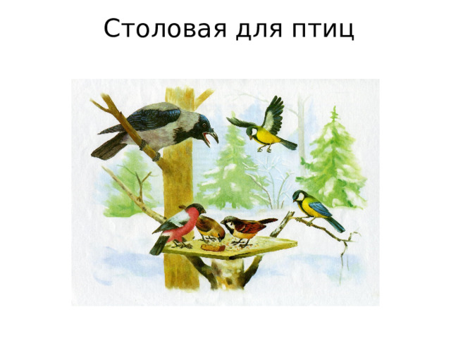  Столовая для птиц   