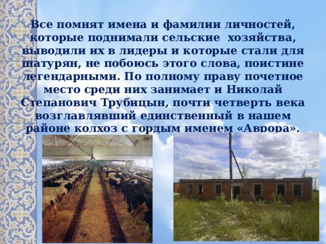        Все помнят имена и фамилии личностей, которые поднимали сельские хозяйства, выводили их в лидеры и которые стали для шатурян, не побоюсь этого слова, поистине легендарными. По полному праву почетное место среди них занимает и Николай Степанович Трубицын, почти четверть века возглавлявший единственный в нашем районе колхоз с гордым именем «Аврора». 