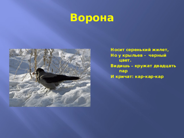 Ворона Носит серенький жилет, Но у крыльев - черный цвет. Видишь – кружат двадцать пар И кричат: кар-кар-кар 