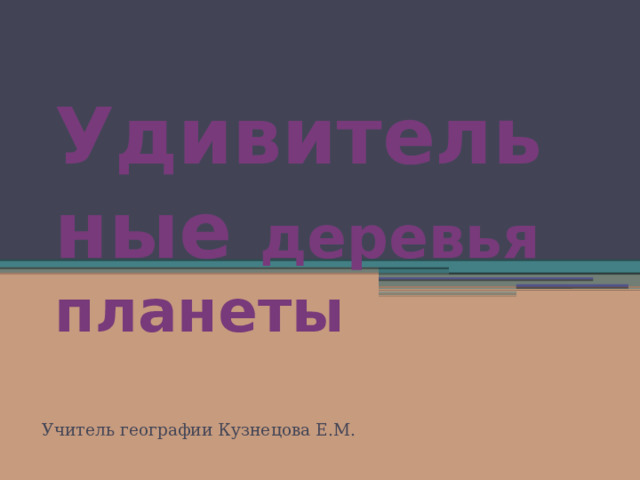 Удивительные деревья планеты Учитель географии Кузнецова Е.М. 