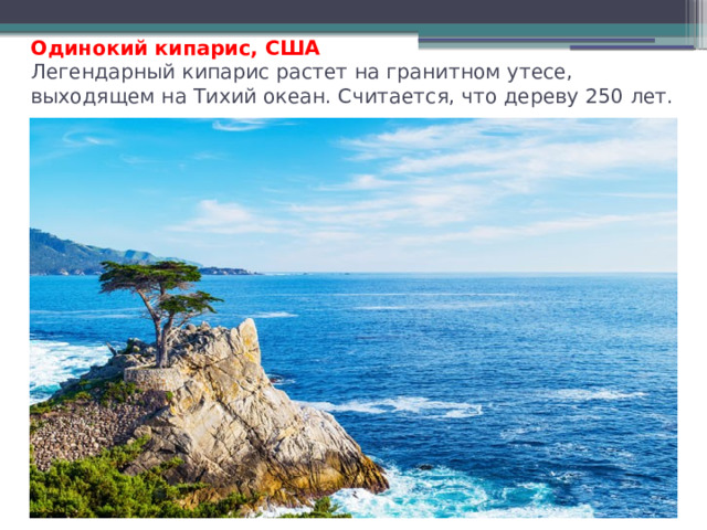 Одинокий кипарис, США  Легендарный кипарис растет на гранитном утесе, выходящем на Тихий океан. Считается, что дереву 250 лет.   