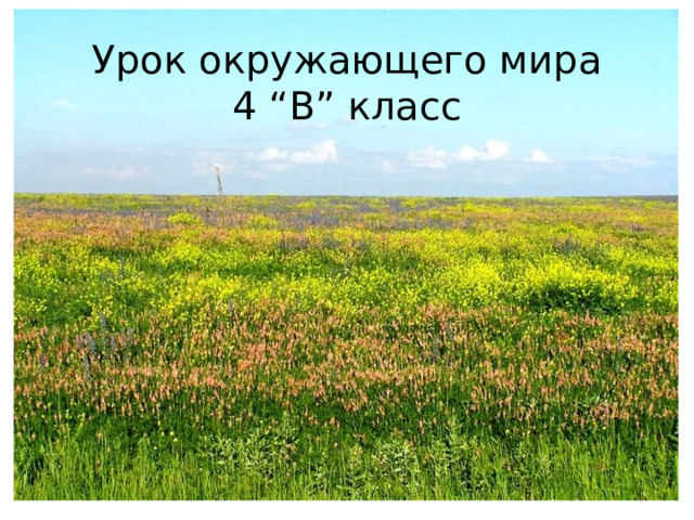 Урок окружающего мира 4 “В” класс 