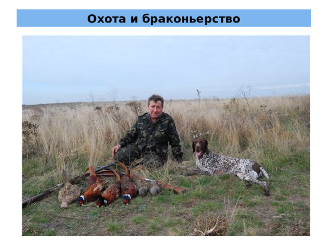 Охота и браконьерство 