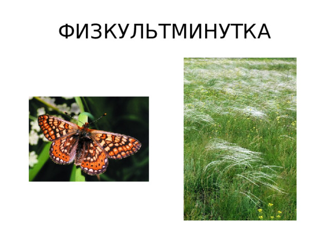 ФИЗКУЛЬТМИНУТКА 