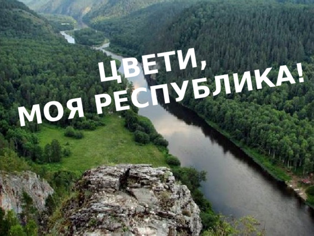 ЦВЕТИ, МОЯ РЕСПУБЛИКА! 