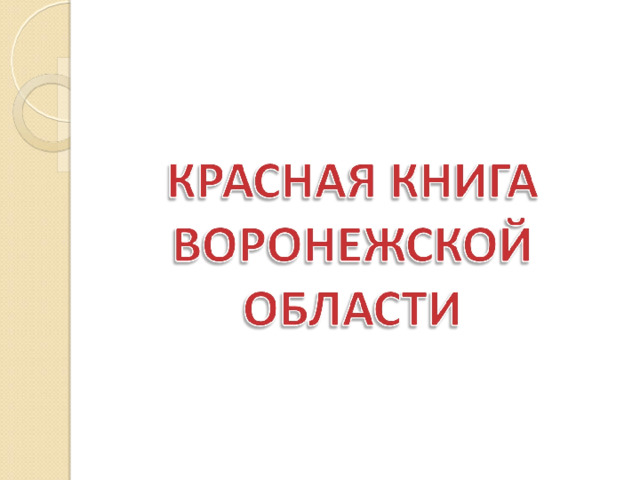 Работа над проектом                      