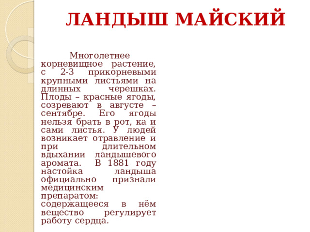 ЛАНДЫШ МАЙСКИЙ    Многолетнее корневищное растение, с 2-3 прикорневыми крупными листьями на длинных черешках. Плоды – красные ягоды, созревают в августе – сентябре. Его ягоды нельзя брать в рот, ка и сами листья. У людей возникает отравление и при длительном вдыхании ландышевого аромата. В 1881 году настойка ландыша официально признали медицинским препаратом: содержащееся в нём вещество регулирует работу сердца. 