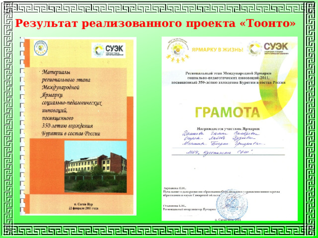 Результат реализованного проекта «Тоонто» 
