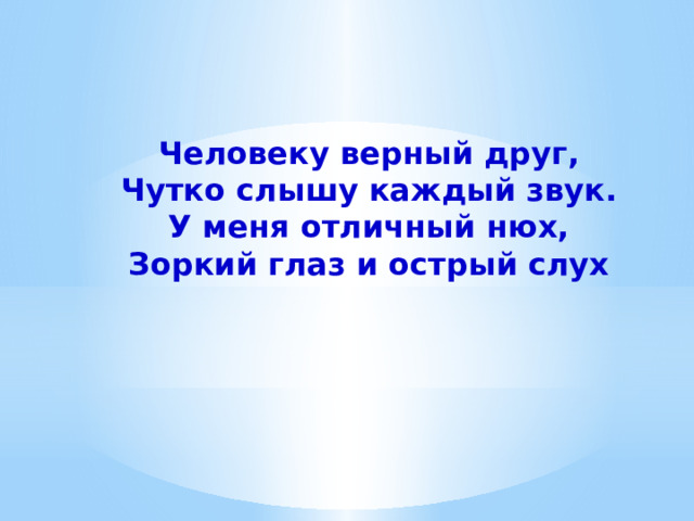 Человеку верный друг, Чутко слышу каждый звук. У меня отличный нюх, Зоркий глаз и острый слух 