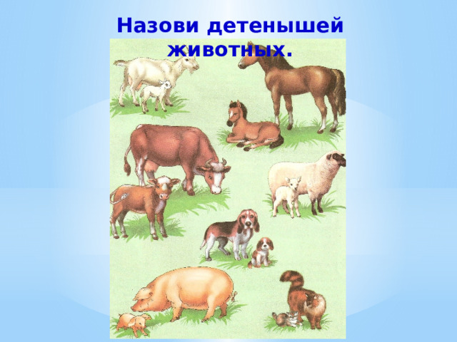 Назови детенышей животных. 
