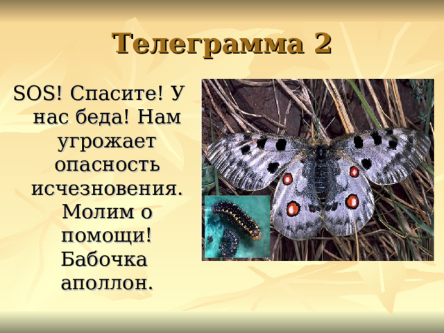 Телеграмма 2 SOS ! Спасите! У нас беда! Нам угрожает опасность исчезновения. Молим о помощи! Бабочка аполлон. 