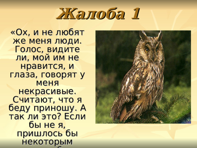 Жалоба 1 «Ох, и не любят же меня люди. Голос, видите ли, мой им не нравится, и глаза, говорят у меня некрасивые. Считают, что я беду приношу. А так ли это? Если бы не я, пришлось бы некоторым сидеть без хлеба». 