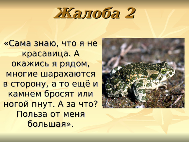 Жалоба 2 «Сама знаю, что я не красавица. А окажись я рядом, многие шарахаются в сторону, а то ещё и камнем бросят или ногой пнут. А за что? Польза от меня большая». 
