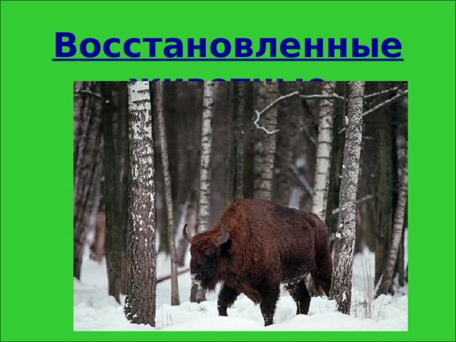 Восстановленные животные 