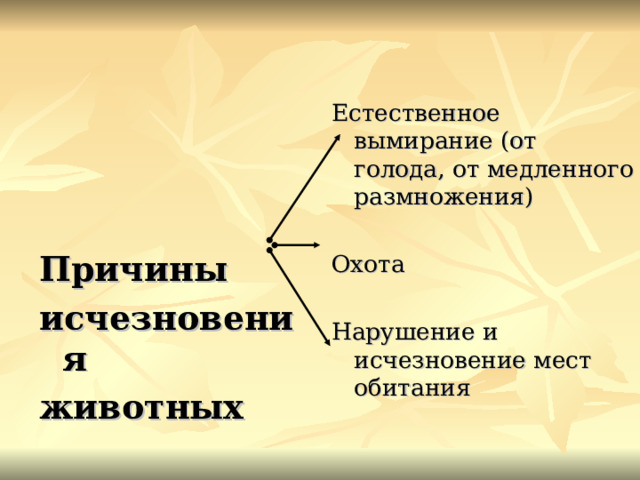 Естественное вымирание (от голода, от медленного размножения) Охота Нарушение и исчезновение мест обитания  Причины исчезновения животных  