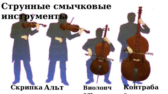 Струнные смычковые инструменты Альт Контрабас Скрипка Виолончель 