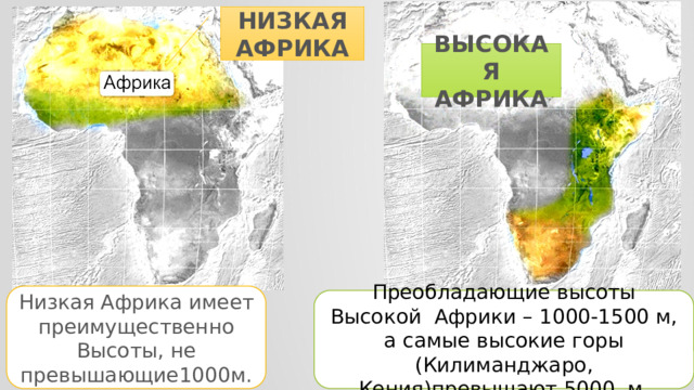 НИЗКАЯ АФРИКА ВЫСОКАЯ АФРИКА Низкая Африка имеет преимущественно Высоты, не превышающие1000м. Преобладающие высоты Высокой Африки – 1000-1500 м, а самые высокие горы (Килиманджаро, Кения)превышают 5000 м. 
