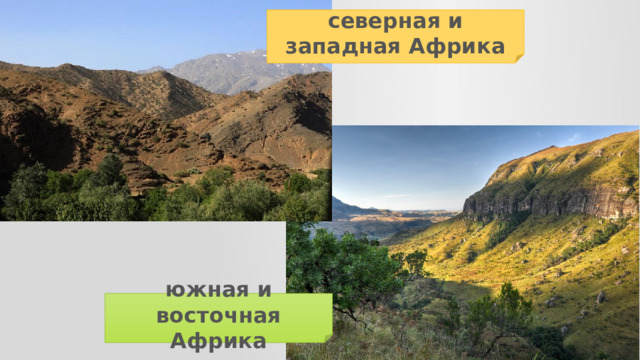 северная и западная Африка южная и восточная Африка 