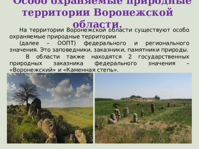 Особо охраняемые природные территории Воронежской области.  На территории Воронежской области существуют особо охраняемые природные территории (далее – ООПТ) федерального и регионального значения. Это заповедники, заказники, памятники природы.  В области также находятся 2 государственных природных заказника федерального значения – «Воронежский» и «Каменная степь». 