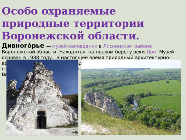  Особо охраняемые природные территории Воронежской области. Дивного́рье   — музей-заповедник в Лискинском районе Воронежской области. Находится на правом берегу реки Дон . Музей основан в 1988 году. В настоящее время природный архитектурно-археологический музей-заповедник «Дивногорье» является одним из самых популярных и самых узнаваемых достопримечательностей Воронежской области. 