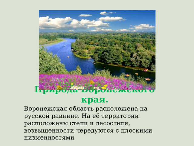 Природа Воронежского края. Воронежская область расположена на русской равнине. На её территории расположены степи и лесостепи, возвышенности чередуются с плоскими низменностями . 