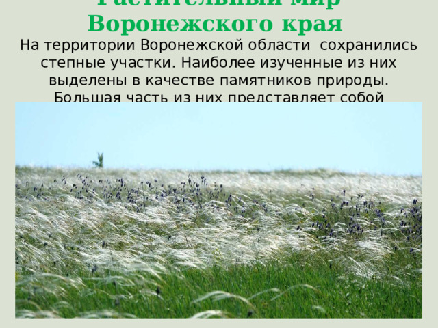 Растительный мир Воронежского края  На территории Воронежской области сохранились степные участки. Наиболее изученные из них выделены в качестве памятников природы. Большая часть из них представляет собой ковыльные степи. 