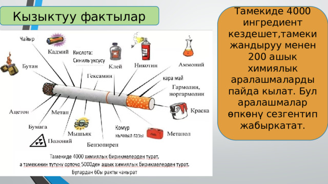 Тамекиде 4000 ингредиент кездешет,тамеки жандыруу менен 200 ашык химиялык аралашмаларды пайда кылат. Бул аралашмалар өпкөнү сезгентип жабыркатат.   Кызыктуу фактылар 