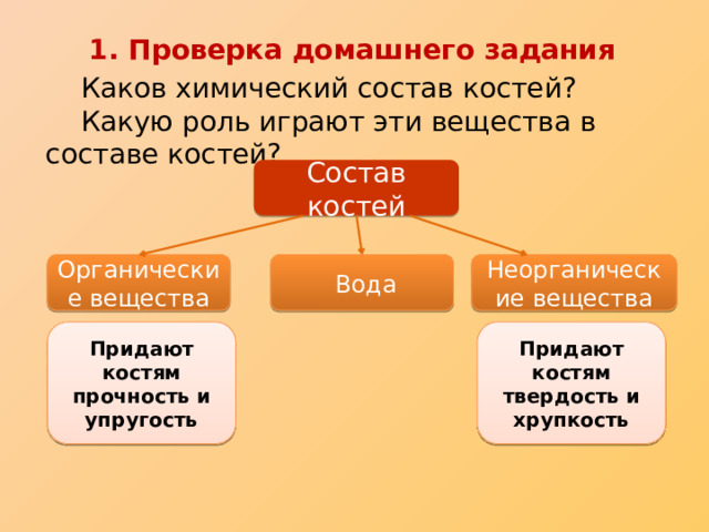 1. Проверка домашнего задания  Каков химический состав костей?  Какую роль играют эти вещества в составе костей? Состав костей Органические вещества  Вода Неорганические вещества Придают костям прочность и упругость Придают костям твердость и хрупкость Органические вещества – придают упругость и гибкость Неорганические вещества – придают твердость Вода также неорганическое вещество, но твердости она не придает  