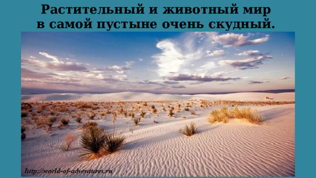 Растительный и животный мир  в самой пустыне очень скудный. 