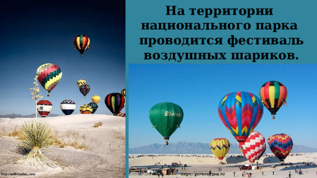 На территории  национального парка  проводится фестиваль воздушных шариков. 