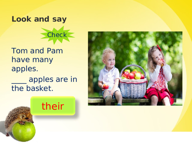 Look and say Check Tom and Pam have many apples. ____ apples are in the basket. their 