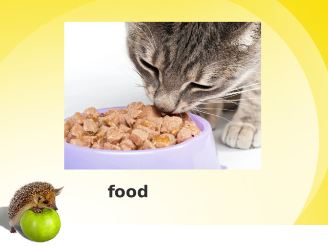  food 