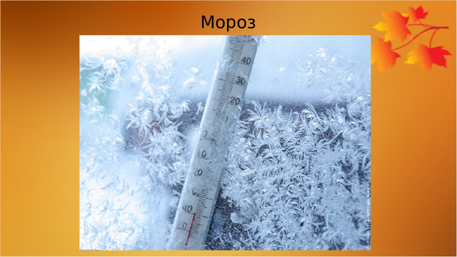 Мороз 
