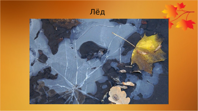 Лёд 