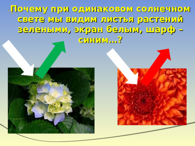 Почему при одинаковом солнечном свете мы видим листья растений зелеными, экран белым, шарф – синим…? 