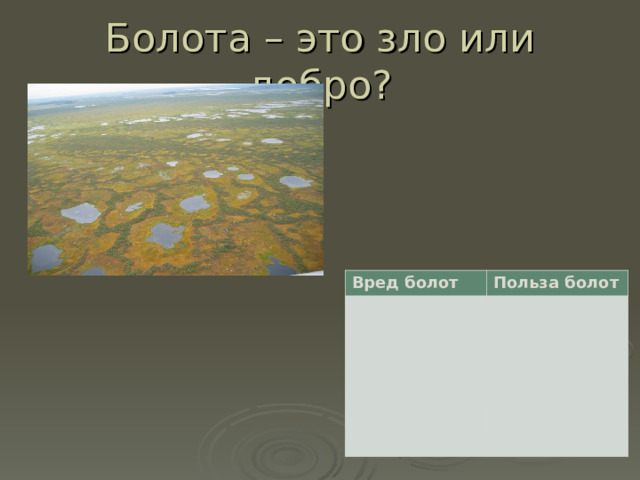 Болота – это зло или добро? Вред болот Польза болот 