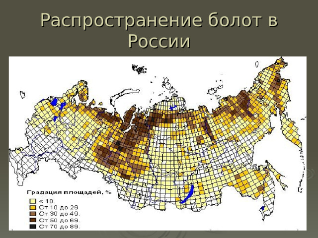 Распространение болот в России 