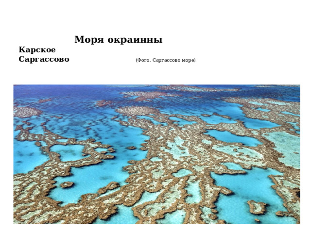    Моря окраинны  Карское  Саргассово (Фото. Саргассово море)    